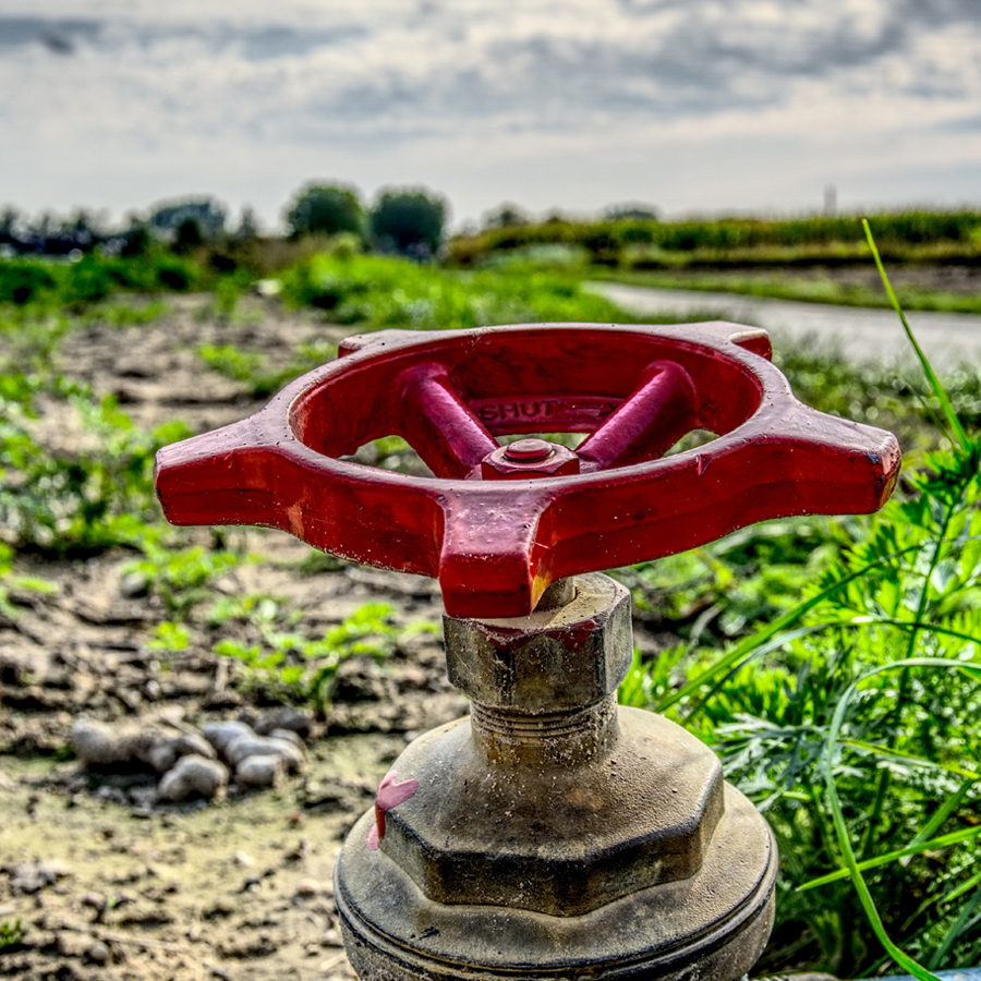 Canal de Isabel II gestionará la red de agua de la Urb. Los Jarales