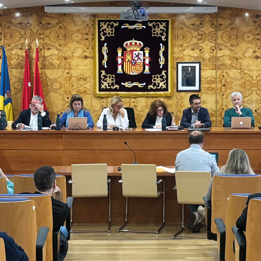 Pleno ordinario 17 de octubre de 2024