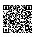 san silvestre codigo qr