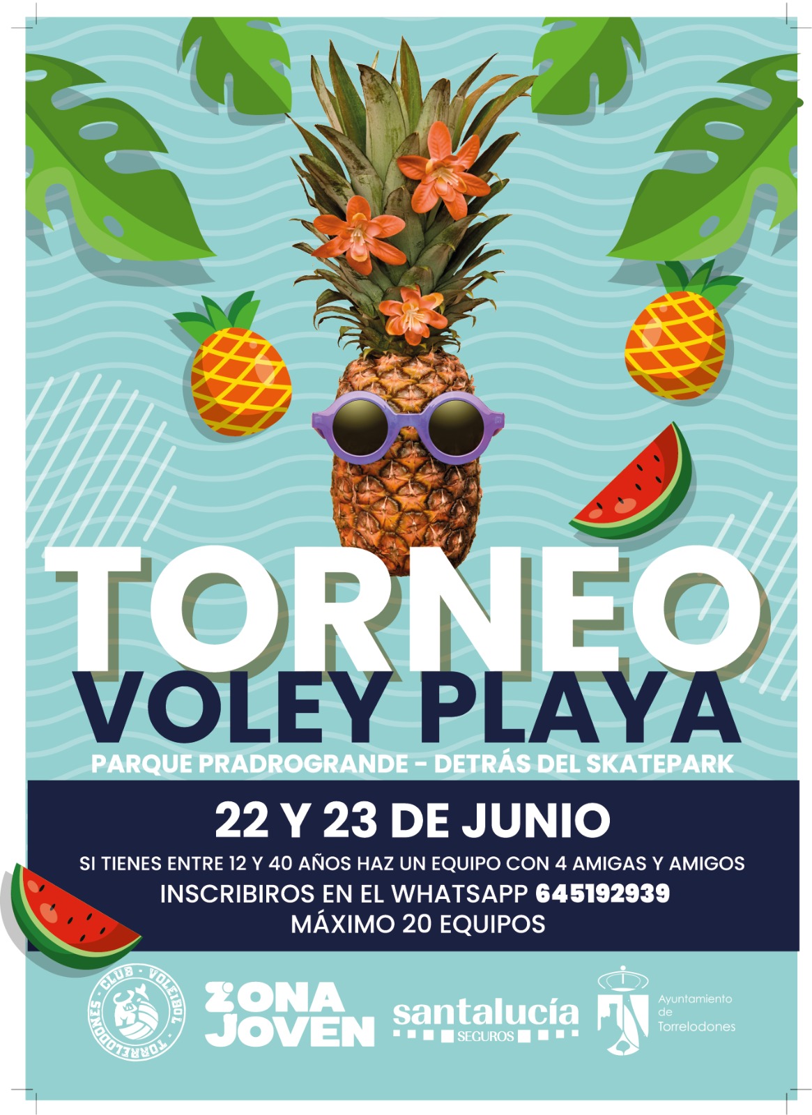 cartel voley